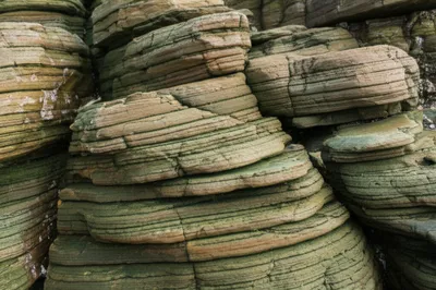 Illustration serpentine - Image 1