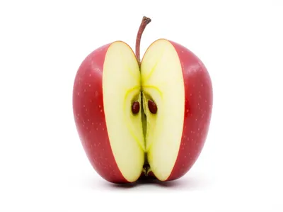 Illustration halved - Image 1