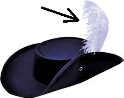 Illustration plume - Image 3