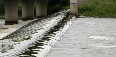 Illustration afflux - Image 1