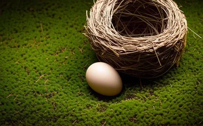 Illustration dislodged - Image 1