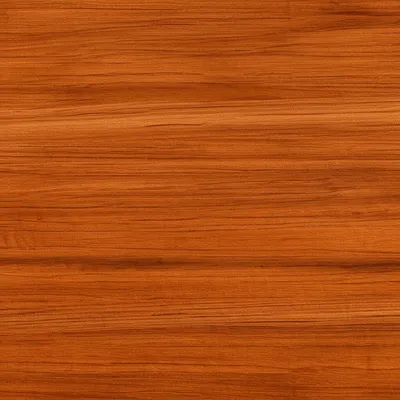 Illustration wood - Image 1