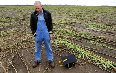 Illustration plowed - Image 1