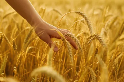 Illustration tingles