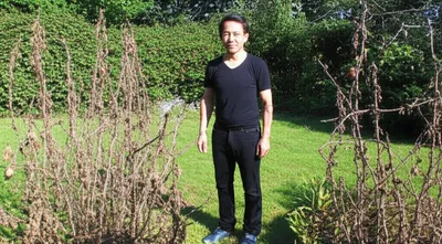 Illustration immunities