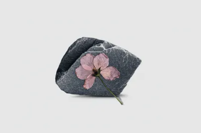 Illustration overbearing - Image 1