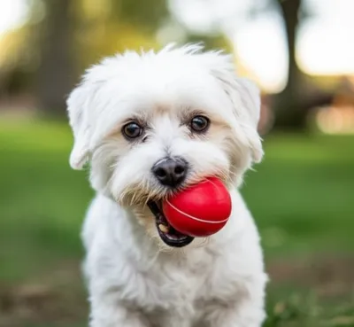 Illustration pinched - Image 1