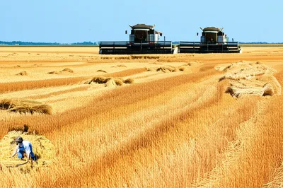 Illustration mechanized