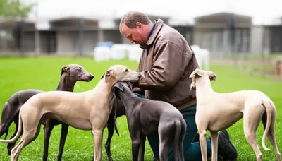 Illustration dogmen - Image 1