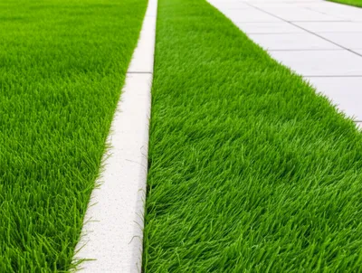 Illustration edging - Image 1