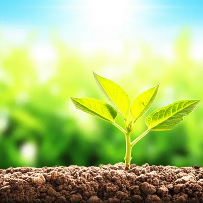 Illustration positives - Image 1