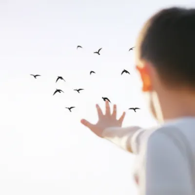 Illustration gone - Image 1