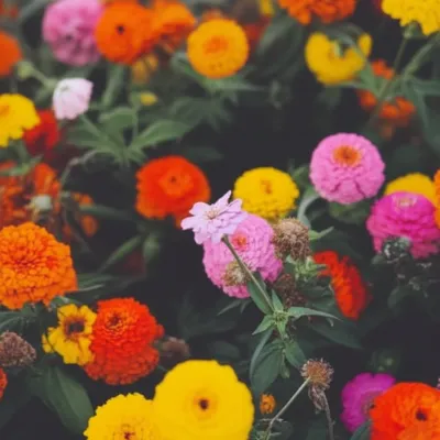 Illustration buried - Image 1