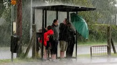 Illustration shelter - Image 3