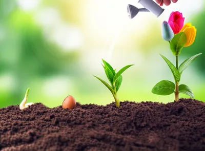 Illustration took - Image 1