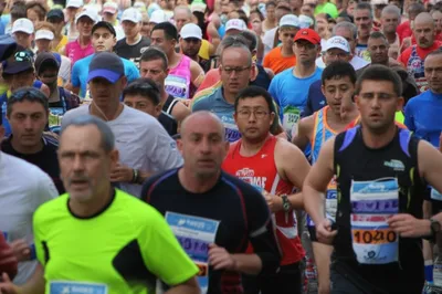 Illustration bogies - Image 1