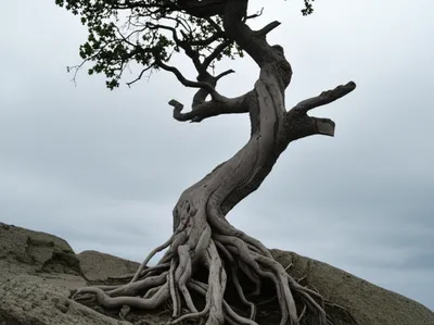 Illustration stick - Image 1