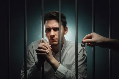 Illustration bonds - Image 1