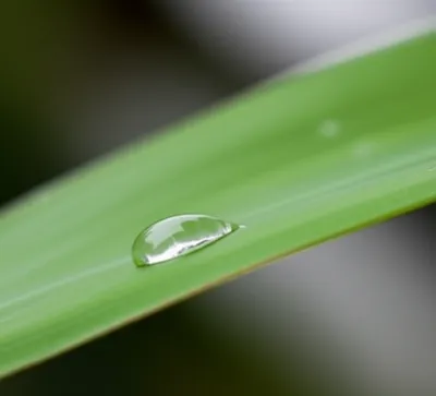 Illustration simplicity