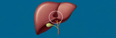 Illustration crypt - Image 1