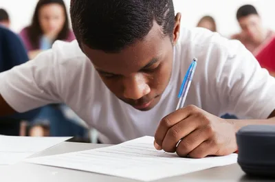 Illustration sits - Image 1