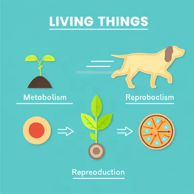 Illustration life - Image 1