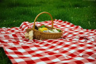 Illustration check - Image 1