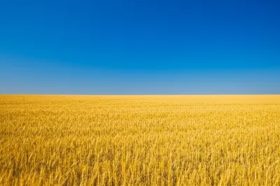 Illustration plainer - Image 1