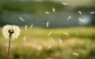 Illustration wisp - Image 1