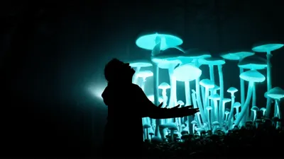 Illustration astonishment