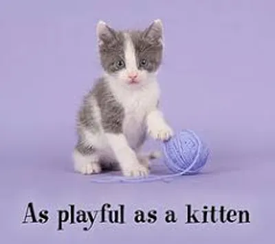 Illustration simile - Image 2