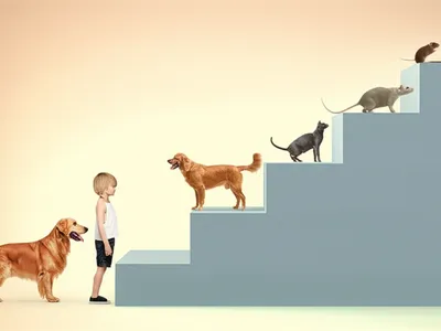 Illustration years - Image 1