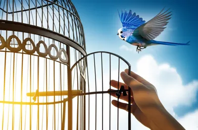 Illustration letting - Image 1