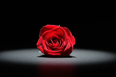 Illustration appropriated - Image 1