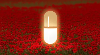 Illustration oxy - Image 1