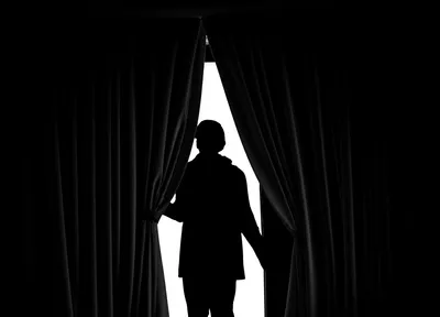 Illustration curtained - Image 1