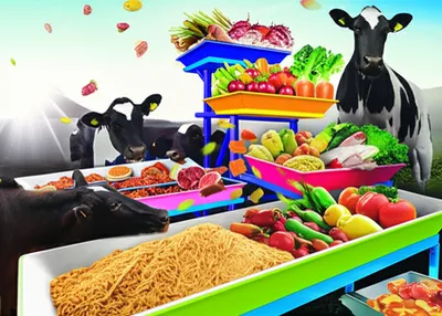 Illustration hacks - Image 1