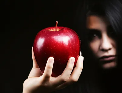 Illustration bitten - Image 1