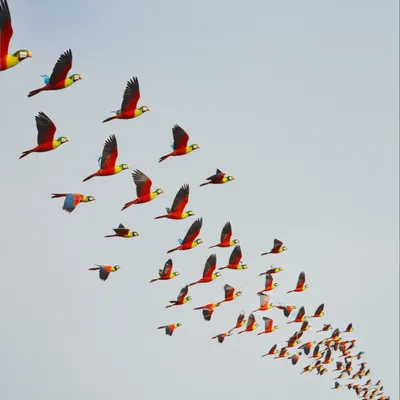 Illustration unlikely - Image 1