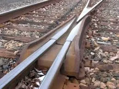 Illustration frog - Image 2