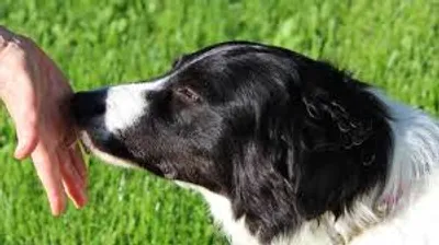 Illustration sensibility - Image 2