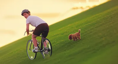 Hình ảnh minh họa decelerating - Ảnh 1