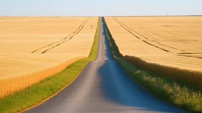 Illustration extends - Image 1