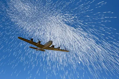 Illustration windows - Image 1