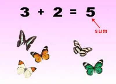 Illustration sum - Image 4