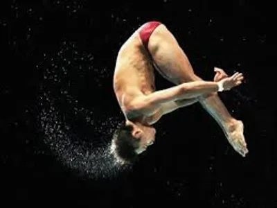 Illustration pike - Image 2