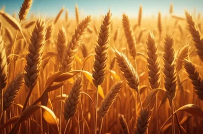 Illustration stricken - Image 1