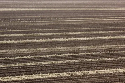 Illustration ribbing - Image 1