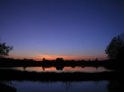 Illustration darks - Image 1