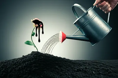 Illustration abuse - Image 1